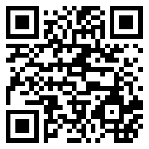 ZENE Bricks instructions QR code